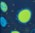 Planets