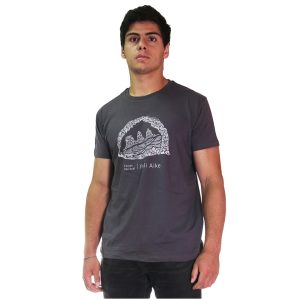 Polera Pali Aike Hombre - Gris