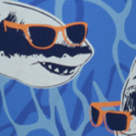 Sharks
