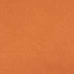 Spicy Orange